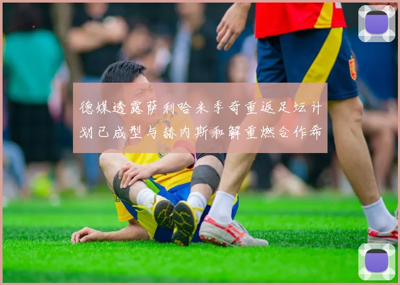 德媒透露萨利哈米季奇重返足坛计划已成型与赫内斯和解重燃合作希望